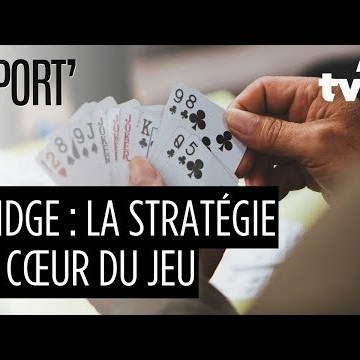 Bridge - TV 78